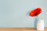 Orange gerbera flower on wooden table with sky blue background. Floral decoration, copy space