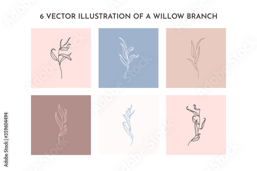 Set of Willow branch with leaves in a trendy minimalistic style. Outline of a botanical design elements. Floral vector
