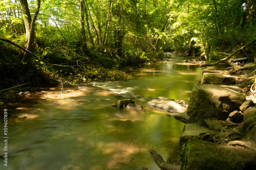 arrazola river in summer arrazola river in summer