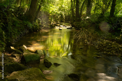 arrazola river in summer photo