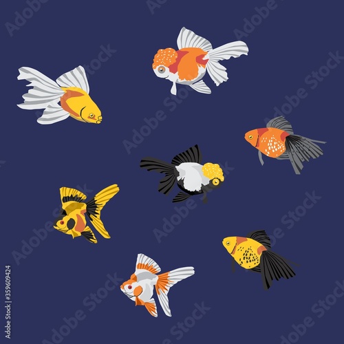 Vector icon of colorful ornamental fish.