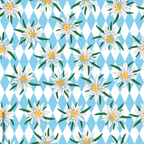 Seamless background with Edelweiss. Edelweiss with green leaves on the background of the Bavarian flag. Symbol of the Alpine mountains. European Royal flower. Vector illustration for design and web.