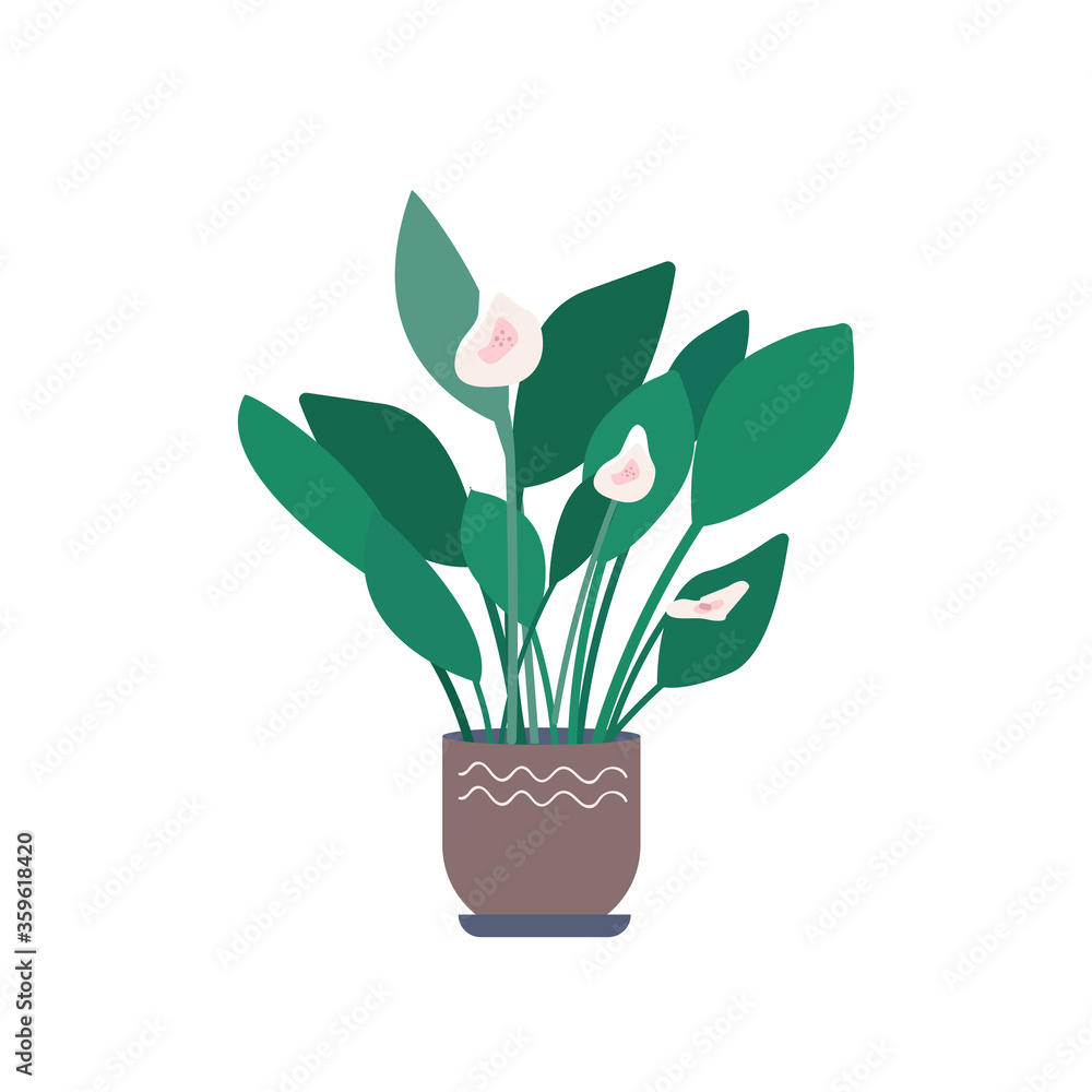 Calla cartoon vector illustration