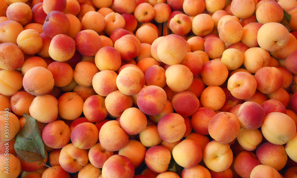 organic apricots on the market organic apricots on the market