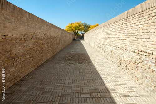 Long old brick corridor with golden yellow tree at the end of the way, Bukhara, Uzbekistan photo