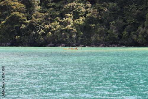 Cano   dans la baie du parc Abel Tasman  Nouvelle Z  lande 