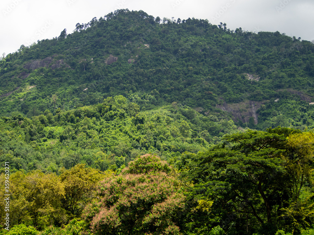 Green mountains are upstream forest