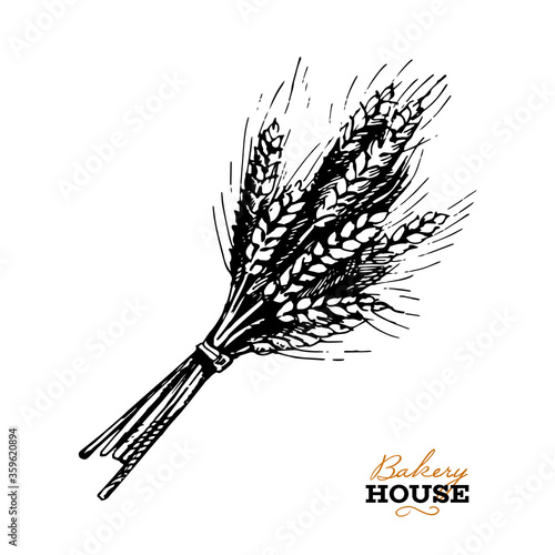 Hand drawn sketch bread background. Vector illustration of natural bakery foods