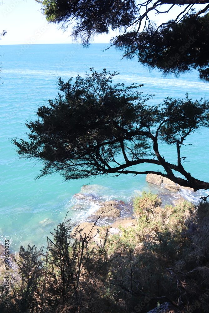 Baie du parc Abel Tasman, Nouvelle Zélande Baie du parc Abel Tasman, Nouvelle Zélande