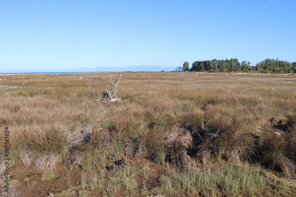 Obraz premium Marais du parc Abel Tasman, Nouvelle Zélande 