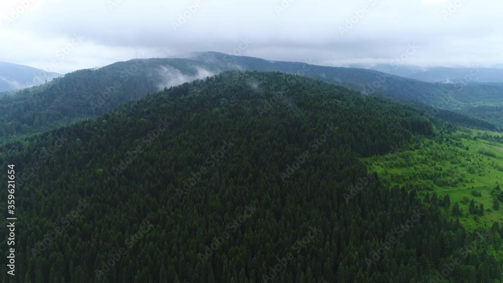 Aerial cinematic drone view of tropical rainforest and mountain in fog after rain. Flying above foggy spruce forest.Drone shot flying over tree tops, Nature background in 4K resolution. Aerial cinematic drone view of tropical rainforest and mountain in fog after rain. Flying above foggy spruce forest.Drone shot flying over tree tops, Nature background in 4K resolution.