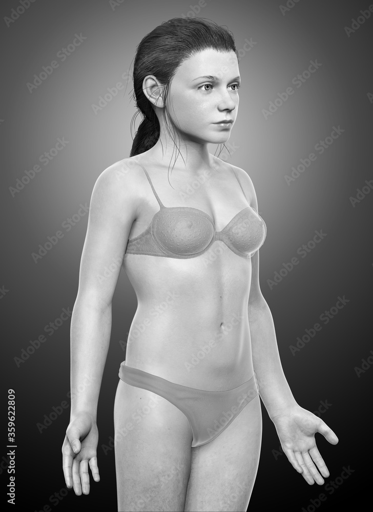 Naklejka premium 3d rendered illustration of the young Girl body