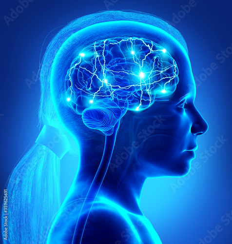3d rendered, medically accurate illustration of a young girl active brain