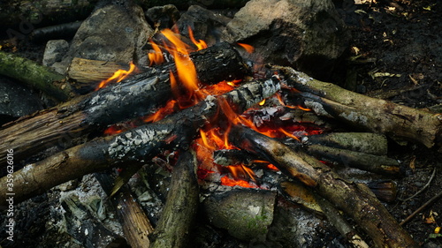 Campfire in forest, Camping in nature © Volkann