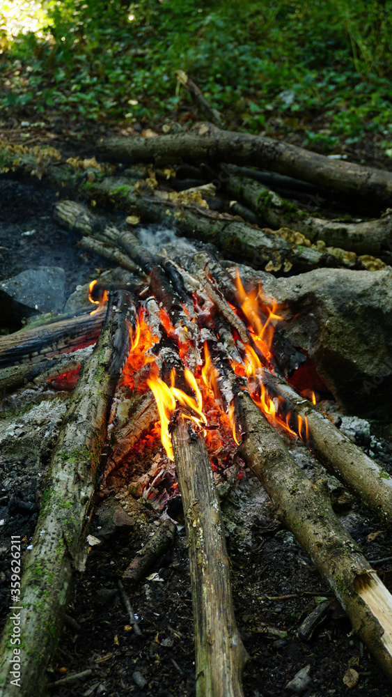 Campfire in forest, Camping in nature Campfire in forest, Camping in nature