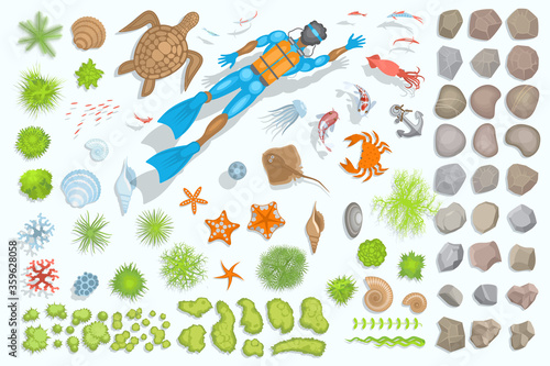 Vector set of underwater sea design elements. Diving. Top view. The bottom of the sea - diver, fish, turtle, crab, jellyfish, stones, shells, plants, sea stars. View from above.