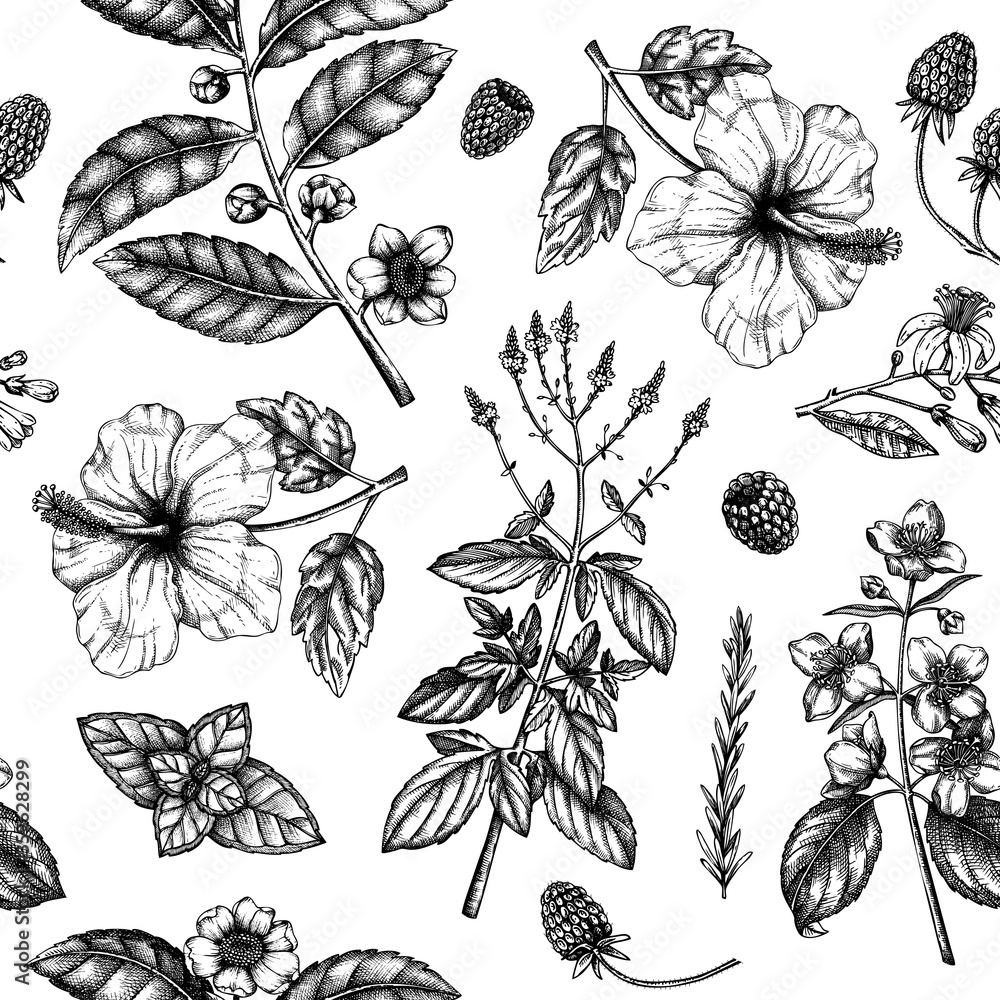 Herbal tea seamless pattern. Hand sketched fruits, herbs, flowers, berries, leaves backdrop. Vector botanical illustration. Herbal tea seamless pattern. Hand sketched fruits, herbs, flowers, berries, leaves backdrop. Vector botanical illustration.
