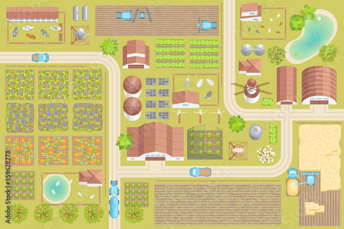Vector illustration. Green farm. (top view) Fields, vegetable gardens, hangars, buildings, barns, agricultural machinery, ponds, road. (view from above)