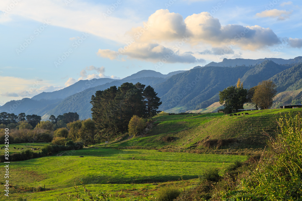 Naklejka premium Scenic landscape in the Waikato Region, New Zealand. Rolling green farmland at the base of the Kaimai Mountains