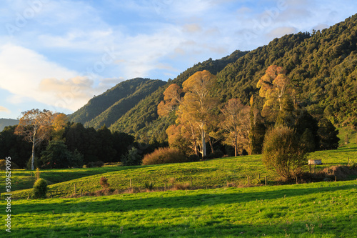 Autumn landscape at the base of a range of mountains. Photographed in the Kaimai Range, Waikato Region, New Zealand
