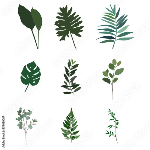 vector illustration leaves floral plant tropical icon ser
