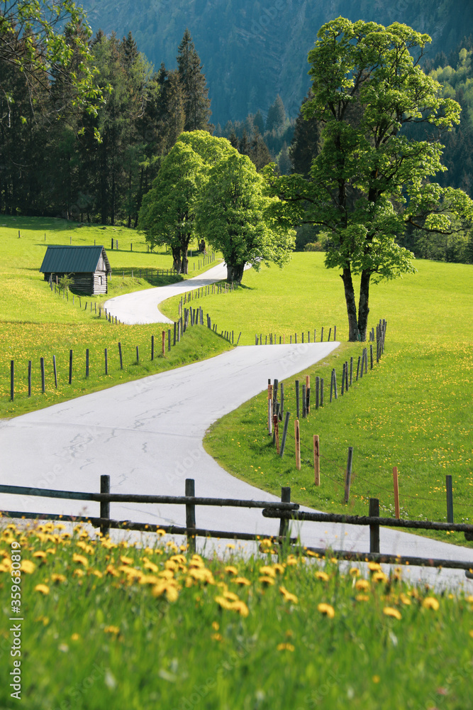 Fototapeta premium Scenic view of an idyllic alpine pasture at the Schladminger Tauern mountain range near the Steirischer Bodensee, Schladming region, Styria, Austria