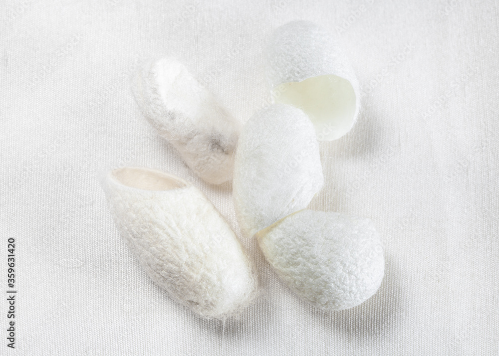 several natural silkworm cocoons for facial skin care on white silk cloth close up several natural silkworm cocoons for facial skin care on white silk cloth close up