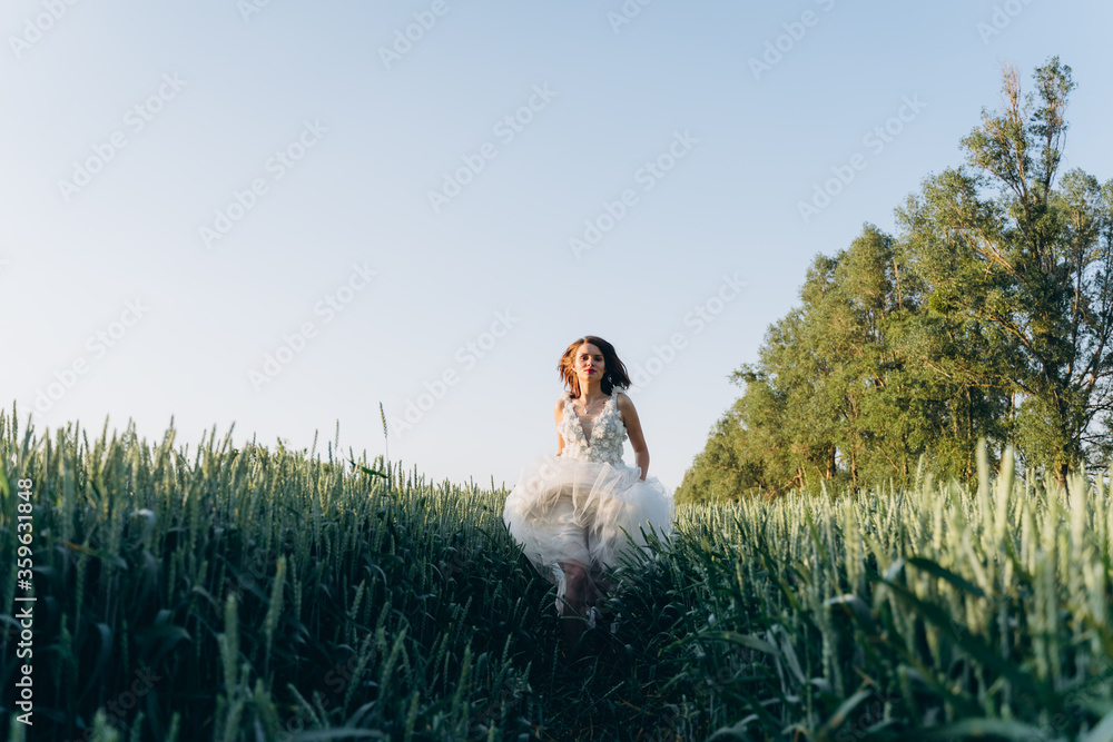 attractive woman wearing veil and long white dress standing in the field attractive woman wearing veil and long white dress standing in the field