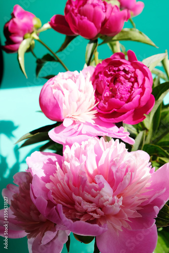 Pink peonies and leaves with hard shadow on pastel background. Trendy pattern  summer concept.