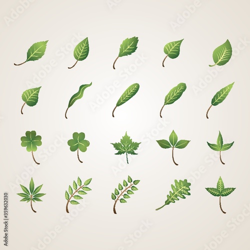 collection of leaves © captainvector