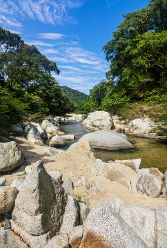Quebrada Concha river, Tayrona National Park, Colombia