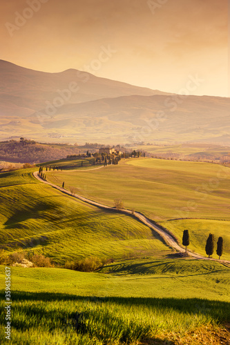 Rolling hills of Tuscany at sunset. Idyllic countyside of Val d'Orcia.