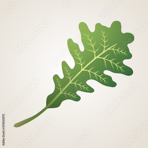 oak leaf