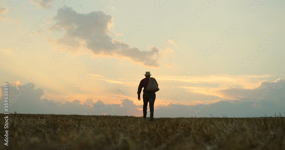 Silhouette of the man with a sack full of the harvest over his back going away to the horizon in the field.