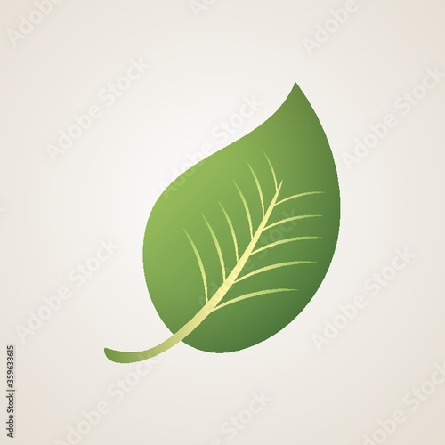 Leaf