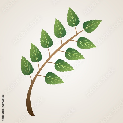 Leaf