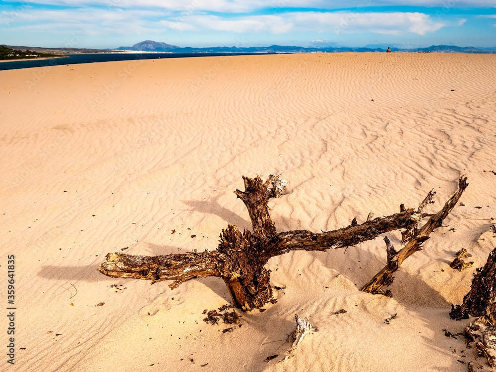 Dune of Valdevaqueros, Tarifa, Andalusia, Spain Dune of Valdevaqueros, Tarifa, Andalusia, Spain