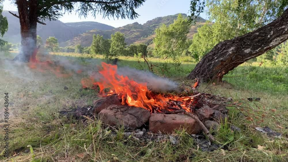 Bonfire on the meadow. Big orange flame and white smoke. Meadow of the forest. Burning with huge flames. Brightly, heat, light, camping, big bonfire. Bonfire on the meadow. Big orange flame and white smoke. Meadow of the forest. Burning with huge flames. Brightly, heat, light, camping, big bonfire.