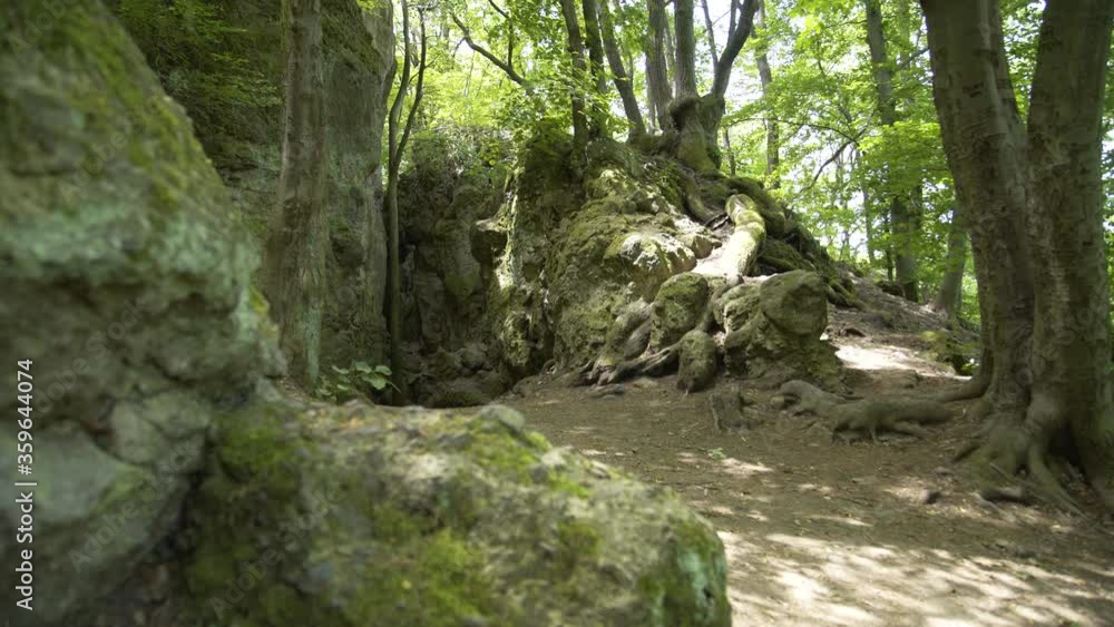 Vasas-szakadek, cave in the Visegrad mountains. Vasas-szakadek, cave in the Visegrad mountains.