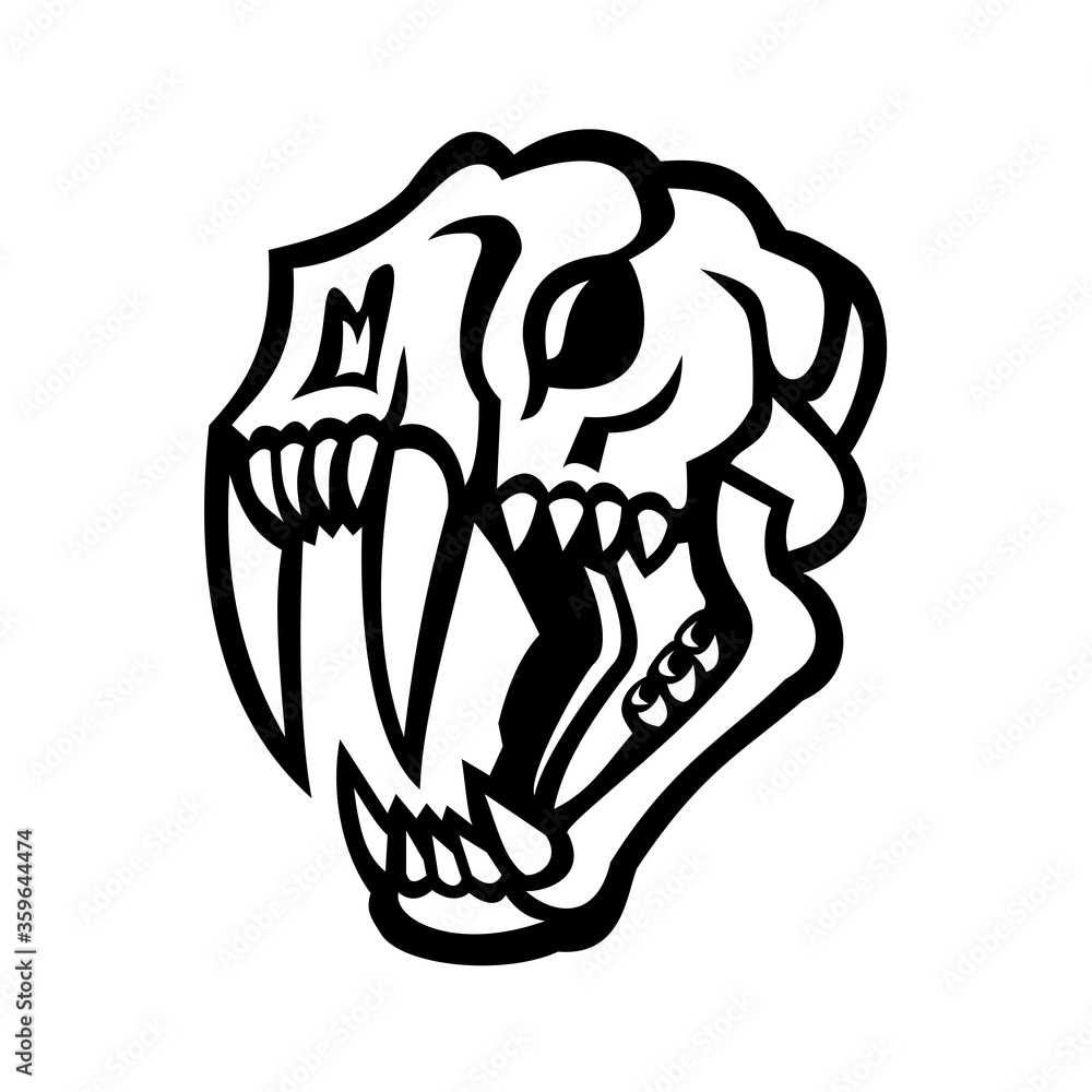 Skull of Saber-toothed Cat Mascot Black and White
