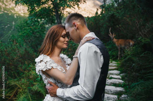 Portrait of a young beautiful couple in a picturesque place, watching and hugging each other. In the background is a deer and looks at tries. Selective focus