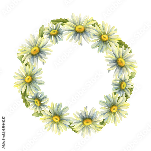 Flower wreath of field daisies. Round frame with white daisies. Template for the design. Stock image. Intertwined flowers, leaves and buds. © Анна Сухова