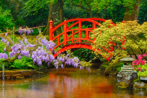 Small bridge in Japanese garden  Park Clingendael  The Hague  Netherlands