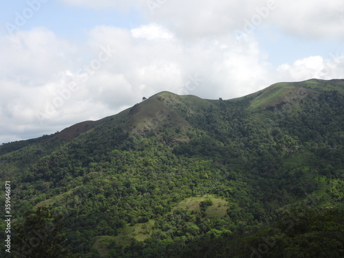  Tropical Montane Forest or Shola Forest  Nilgiris