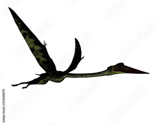 Quetzalcoatlus flying peacefully ahead isolated in white background