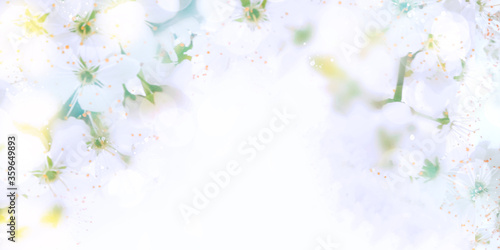 Abstract floral background in pastel soothing tones. Heavily blurred background with bokeh effect. Banner background with space to copy. © Firuza
