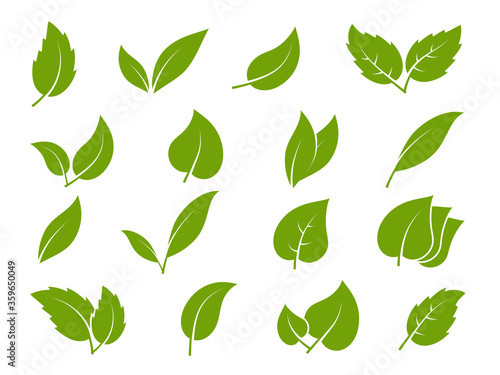 Leaves icons. Young green leaves trees and plants various shapes, herbal tea leaf eco, bio foliage landscaping environment vector set