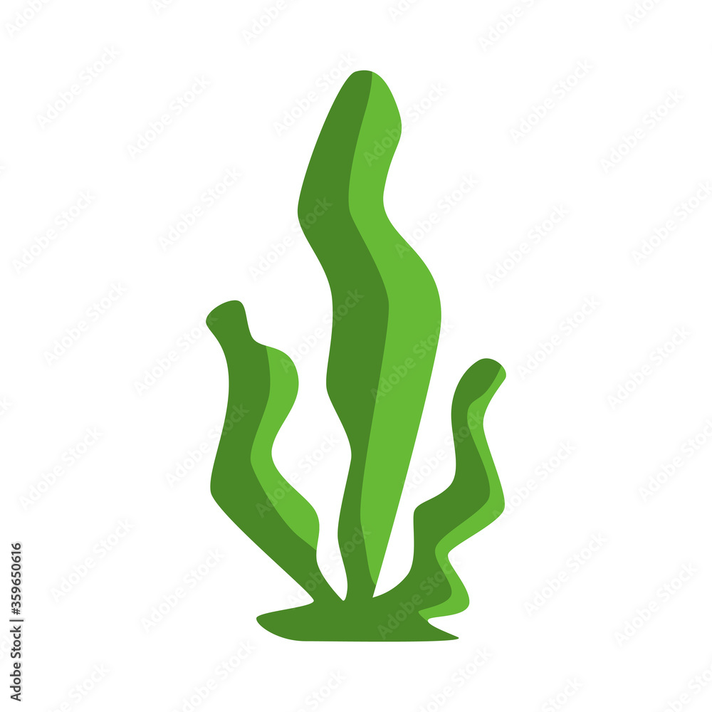Green seaweed isolated on white. Three long stems stretched up. Vector EPS10. Green seaweed isolated on white. Three long stems stretched up. Vector EPS10.