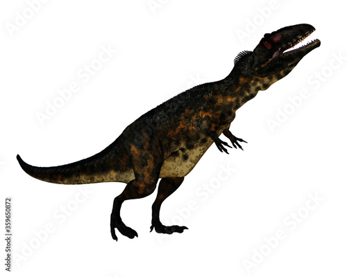Terrifying giganotosaurus dinosaur roaring head up isolated in white background
