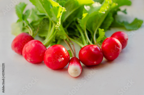 Fresh organic red radishes with green leaves on withe table. Healthy nutrition concept. New crop of vegetables grown in the garden. Harvest 2020. High quality photo